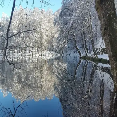 Habitat Mesire Bungalov Evleri - Yedigöller