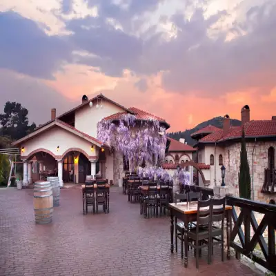 Vinifera Hotel, Yedibilgeler