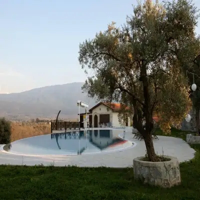 Vinifera Hotel, Yedibilgeler