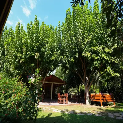 Özge Hotel & Bungalows