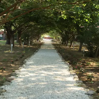 Eden Bungalows and Beach