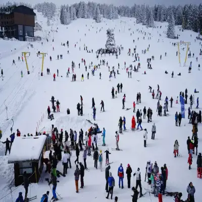 Le Chalet Yazıcı