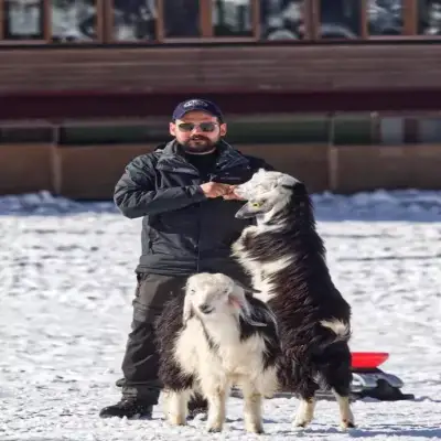 Başkonuş Yaylası Orman Evleri