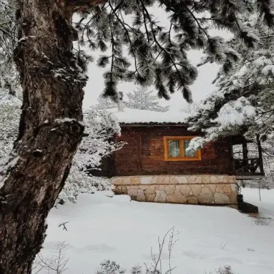 Redpine Guest House