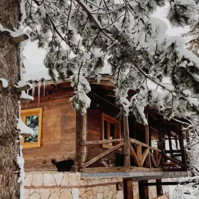 Redpine Guest House