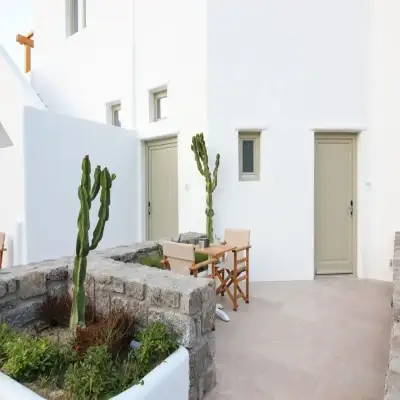 Mykonos Cactus