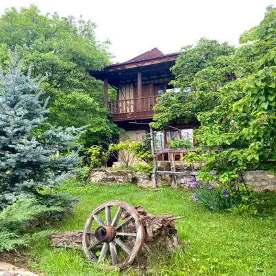 Yeşil Çizme Doğa Evi