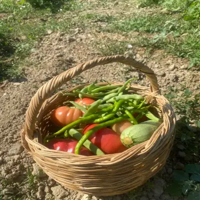 Talay Bağları Konukevi