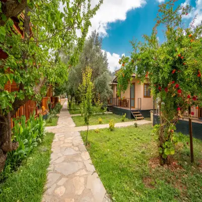 Olive Tree Bungalows