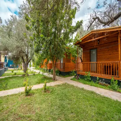 Olive Tree Bungalows