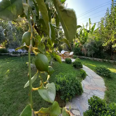 Rüya Pension, Söğüt Marmaris