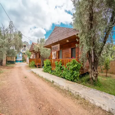 Olive Tree Bungalows