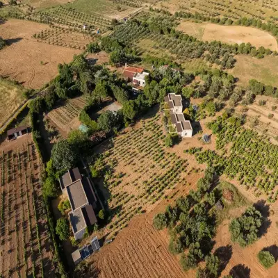 Bağbadem Holiday Homes