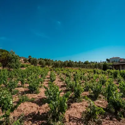 Bağbadem Holiday Homes