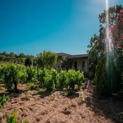 Bağbadem Holiday Homes