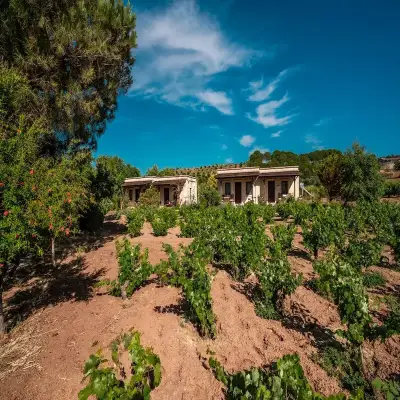 Bağbadem Holiday Homes