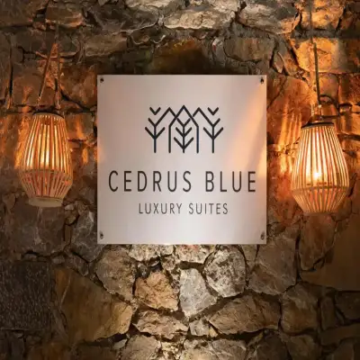 Cedrus Blue