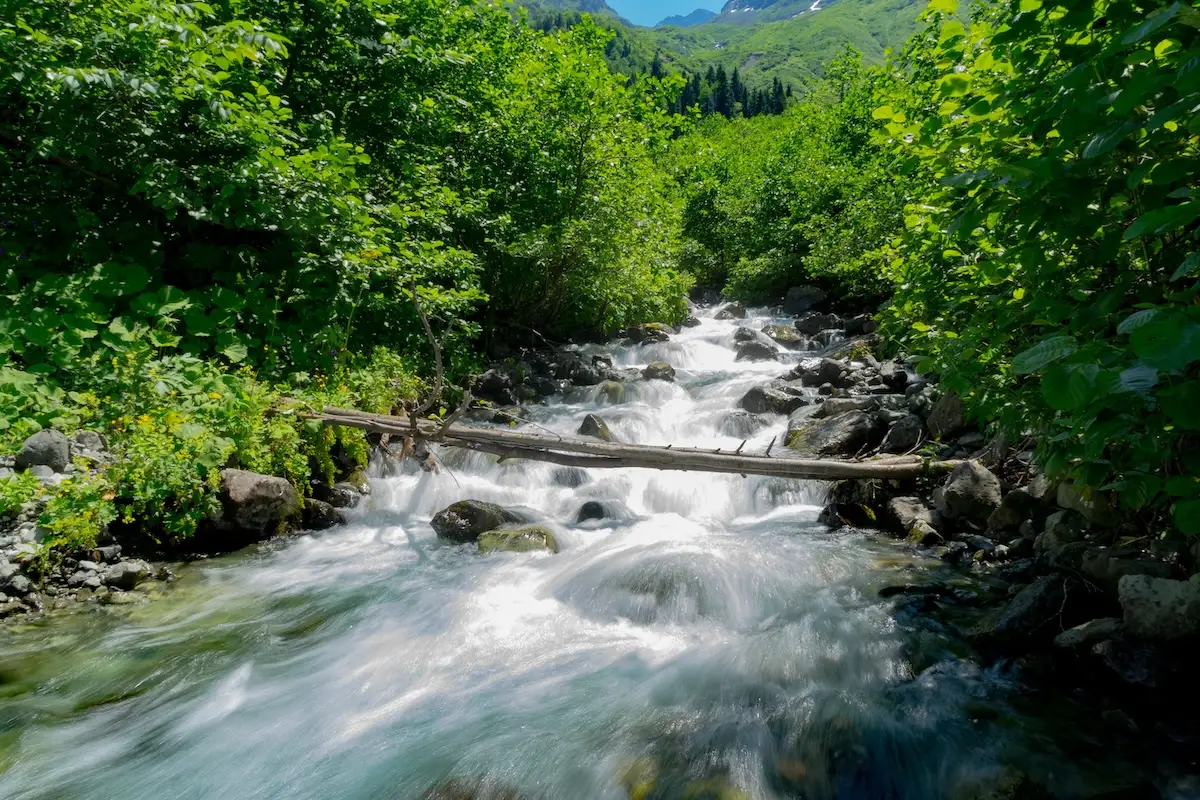 Şavşat Artvin En Uygun Oteller