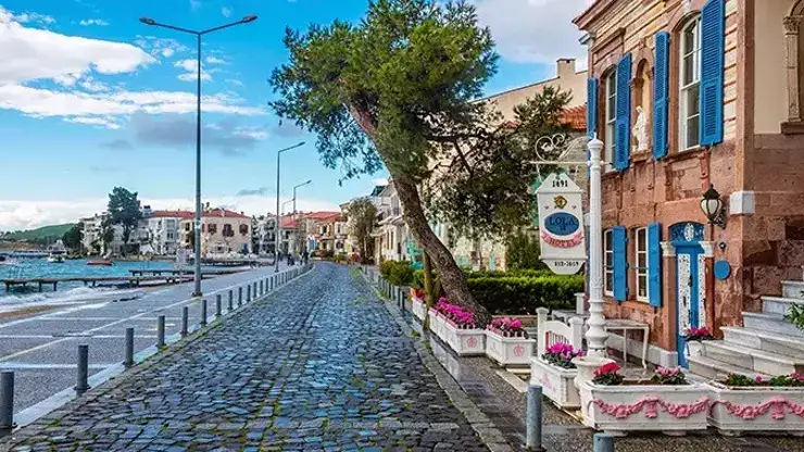  Foça'dan Ne Alınır 