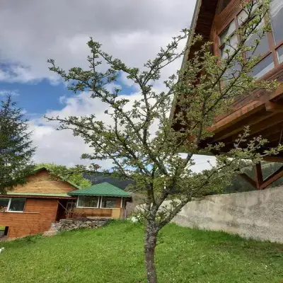 Yayla Bungalov Hotel