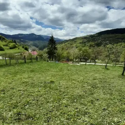 Yayla Bungalov Hotel