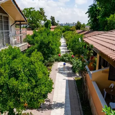 Özlem Garden