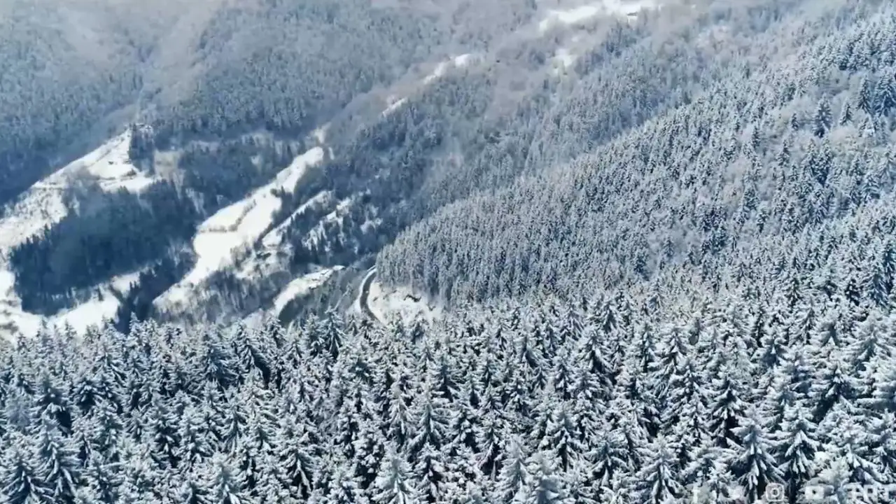 Artvin, Kafkasör Yaylası