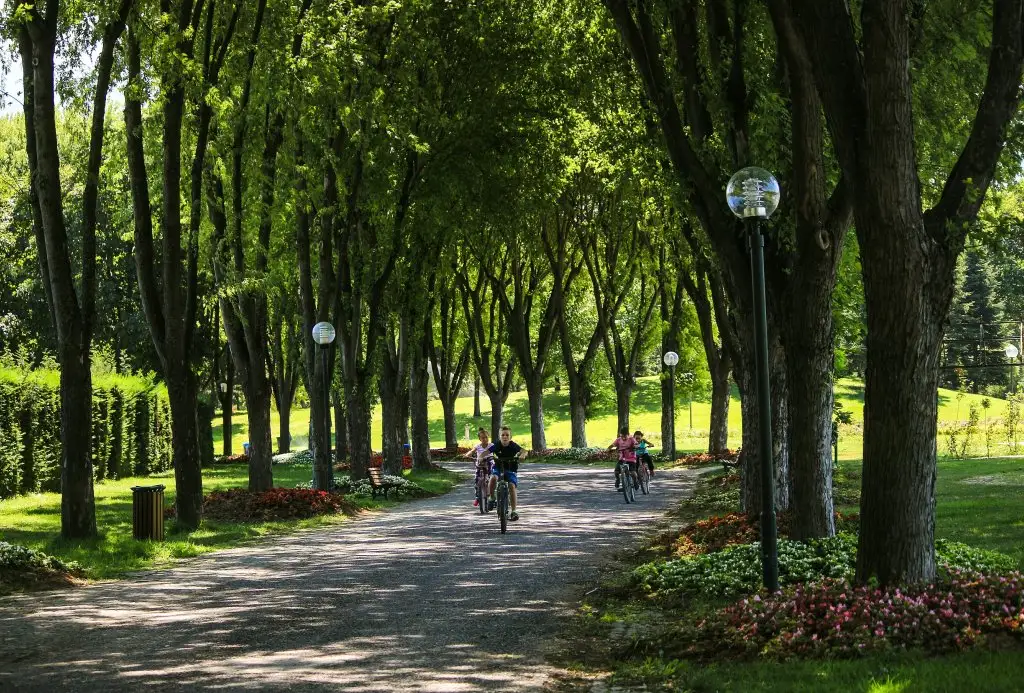 Soğanlı Botanic Park