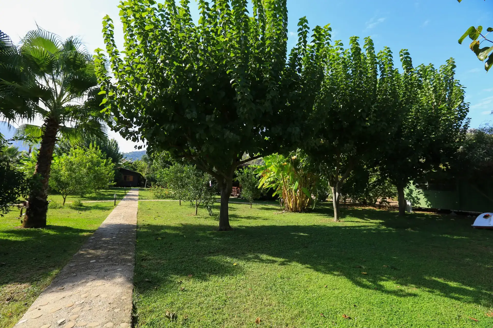 Özge Hotel & Bungalows