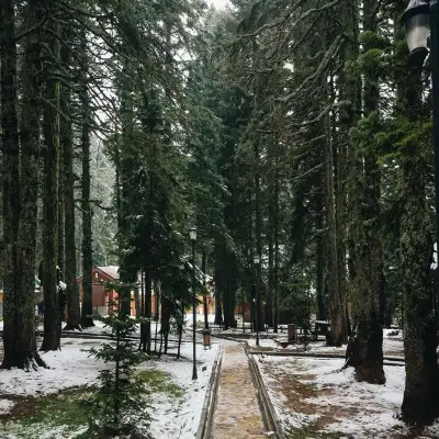 Cobankaya Karinna Orman Koskleri