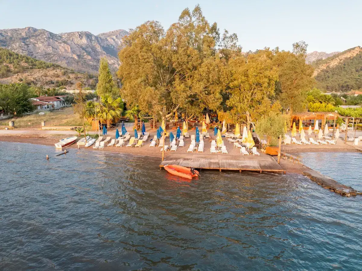 Olive Tree Bungalows