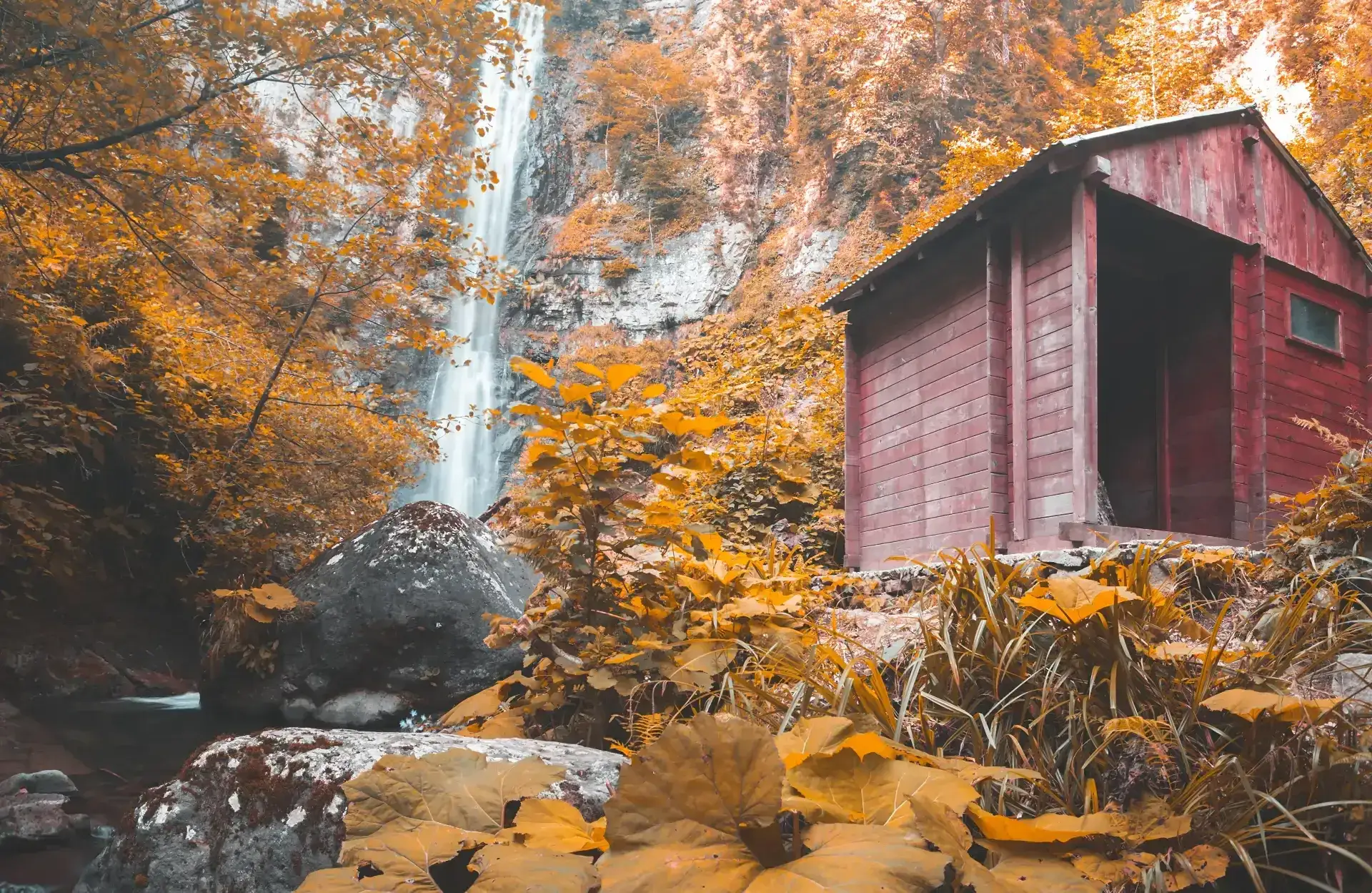 Artvin Restoran ve Kahvaltı Mekanları