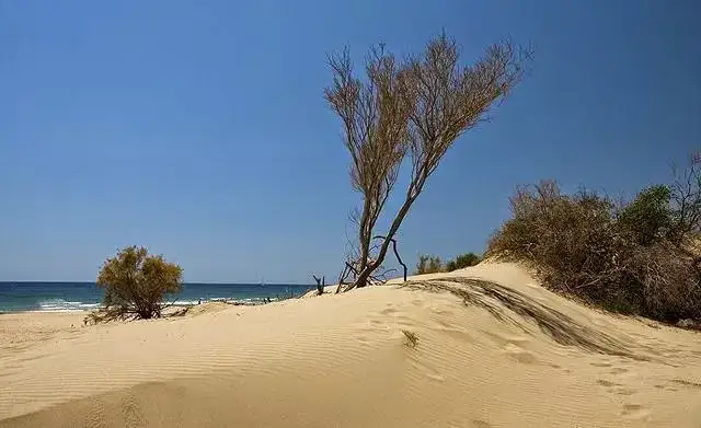 Patara Uygun Otel Fiyatları