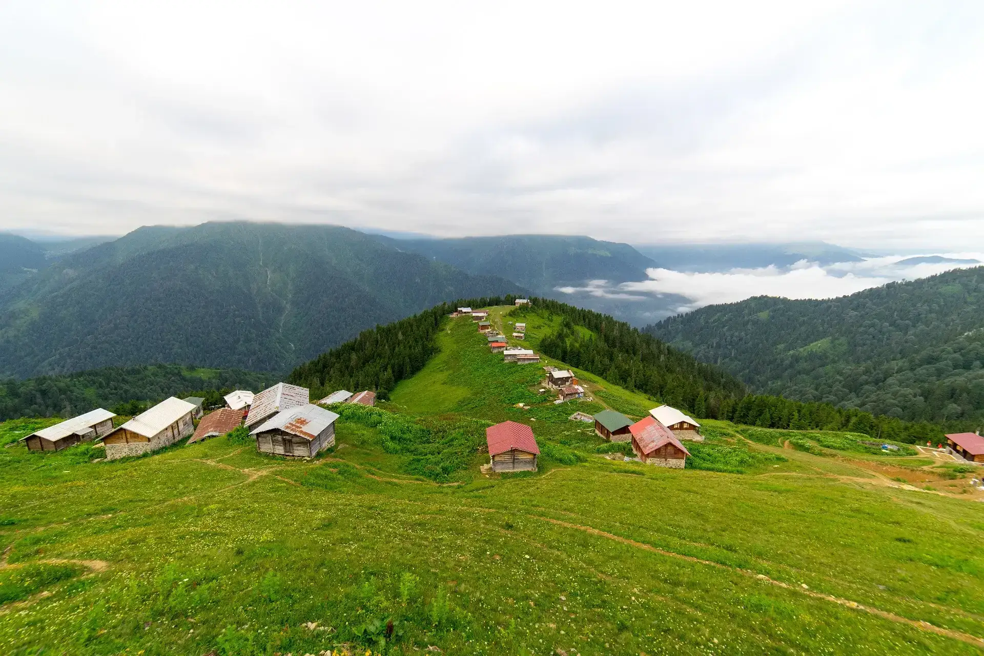 What to Buy in Çamlıhemşin?