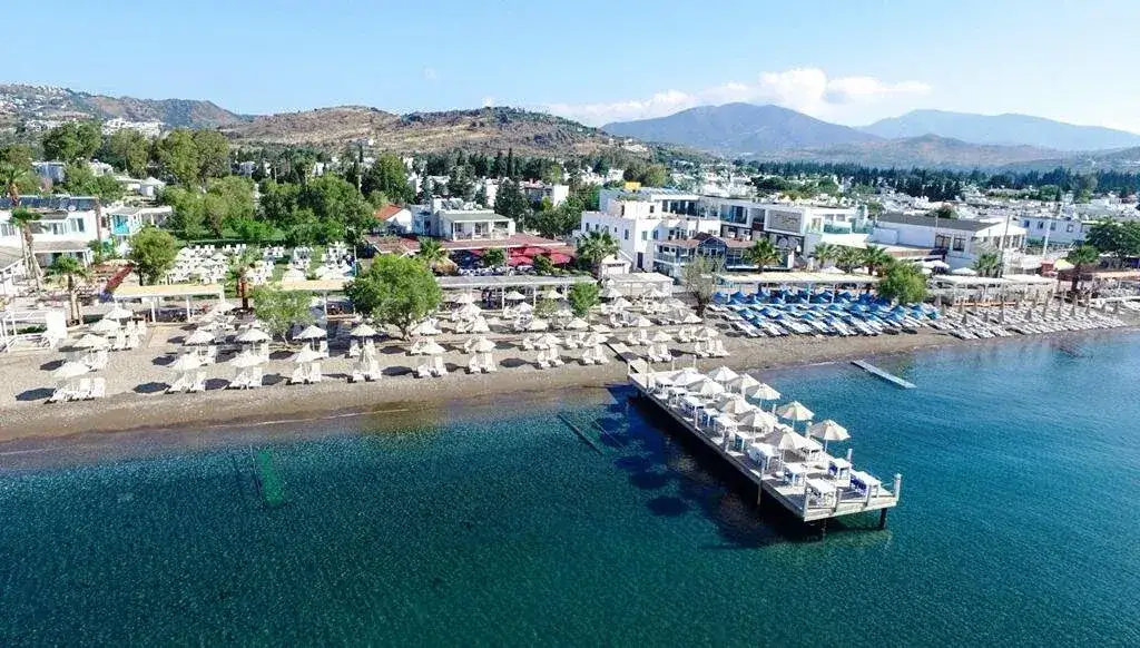 Bodrum’da Sanat ve Doğa Buluşuyor: Kefi Beach’te İlham Dolu Atölyeler Başlıyor