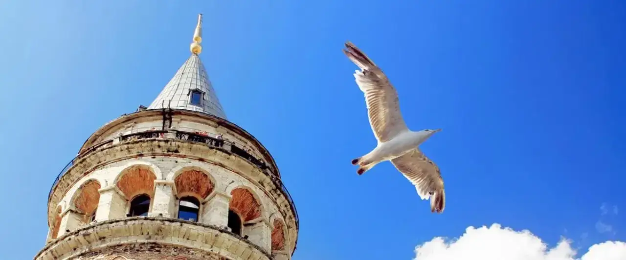 Galata Hotels